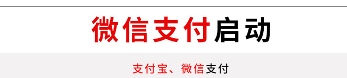 游樂沙灘車